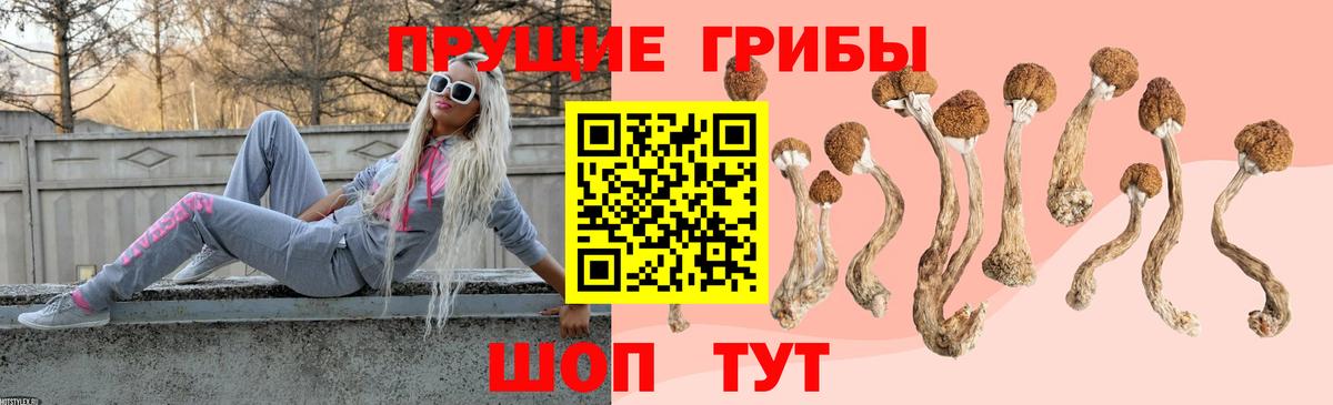 Янаул  Галлюциногенные грибы MAGIC MUSHROOMS  Галлюциногенные грибы Psilocybe  Вход с VPN 